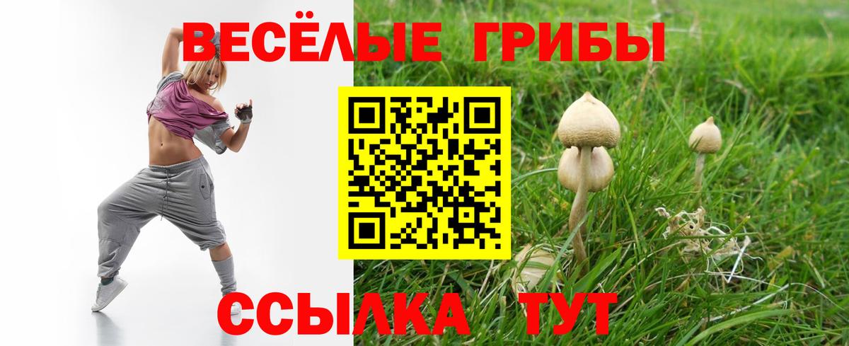 Галлюциногенные грибы Cubensis  Псилоцибиновые грибы Psilocybe  Старый Оскол  Вход с VPN 